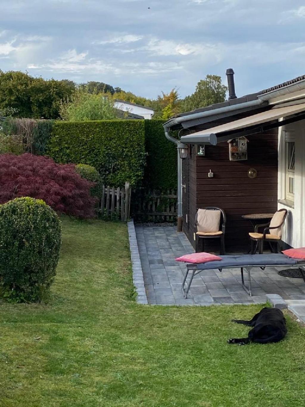 Ferienhaus Glueckspilz Beim Hennesee Meschede Zewnętrze zdjęcie
